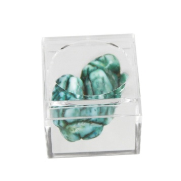 Magnifying box